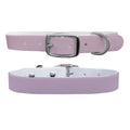 Lavender Dog Collar
