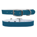 Midnight Dog Collar
