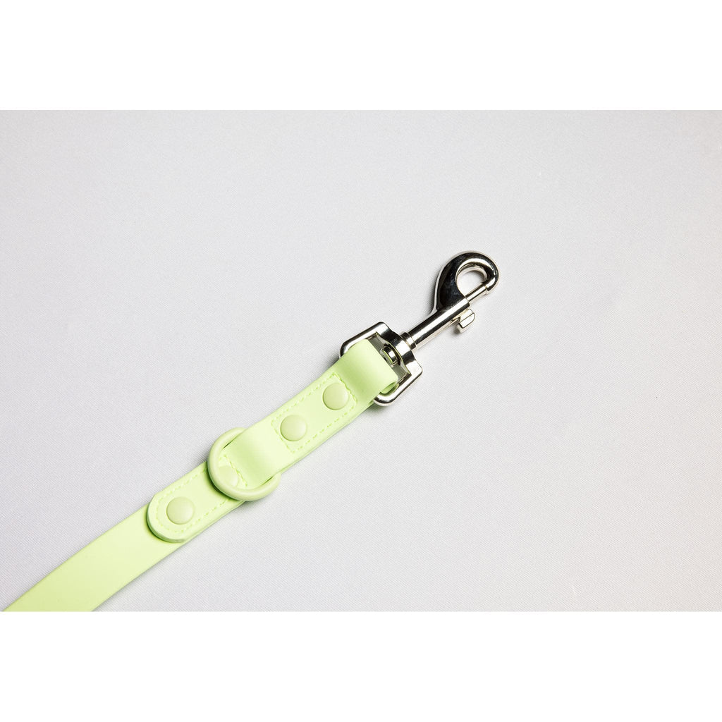 Furever 6' Leash by C4