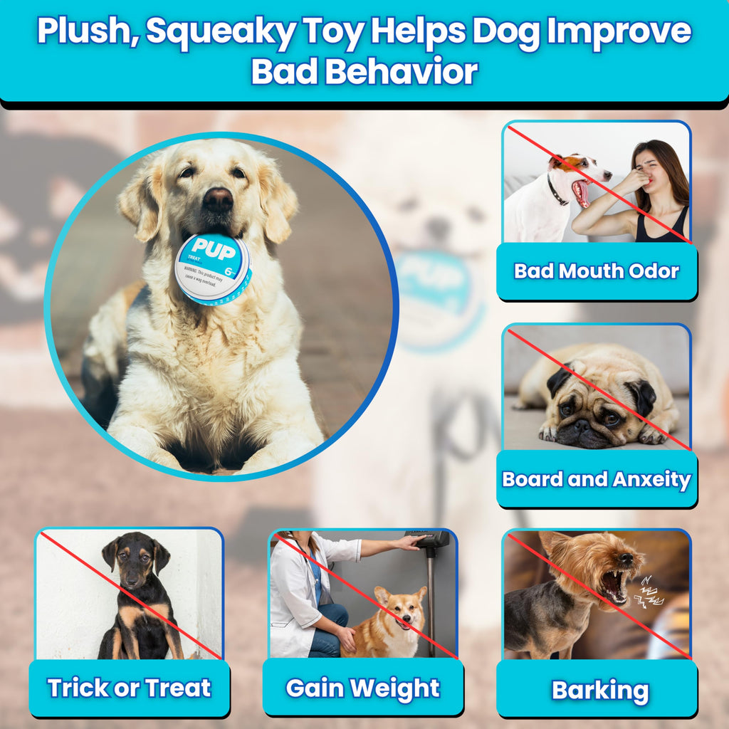 PUP6 PUP Pouch Plush Squeaky Durable Interactive Dog Chew Toy Plush