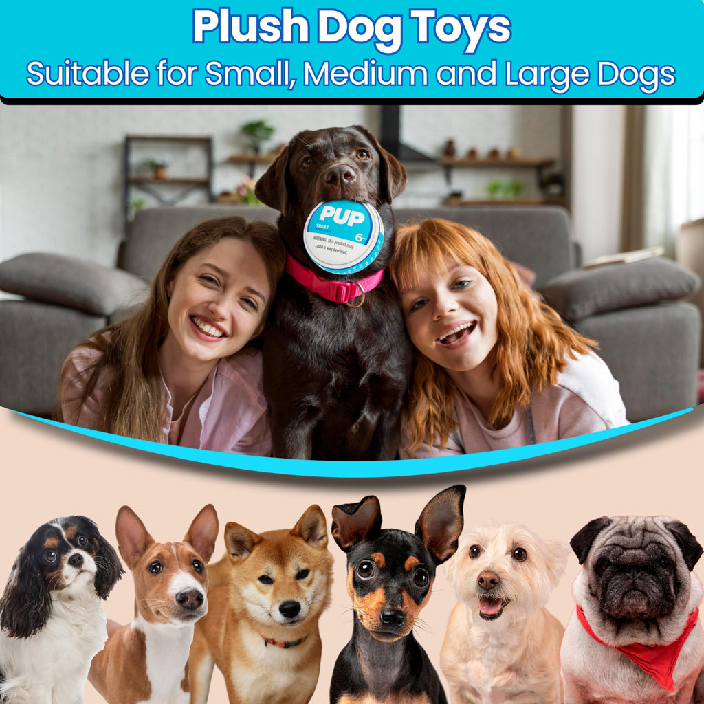 PUP6 PUP Pouch Plush Squeaky Durable Interactive Dog Chew Toy Plush