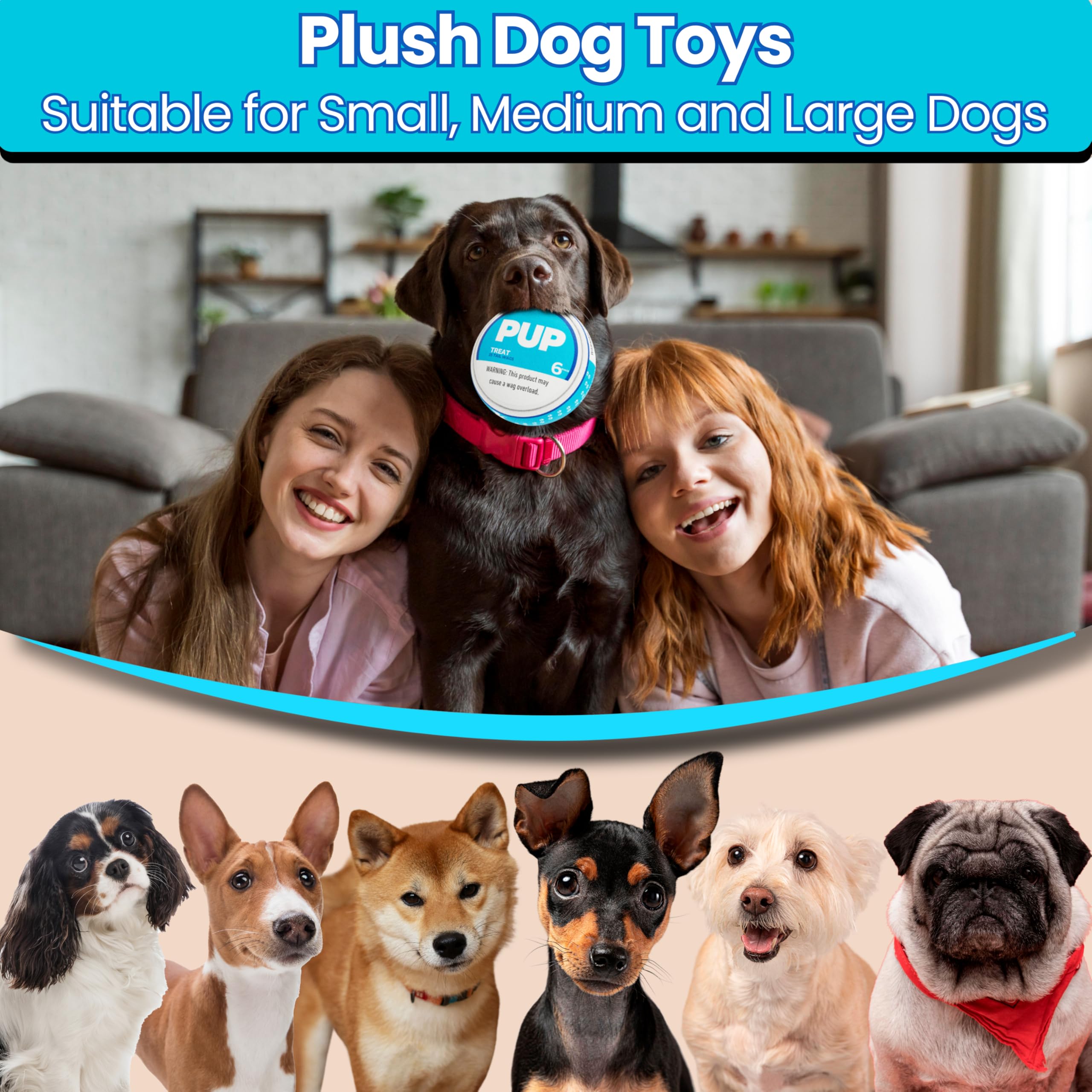 PUP6 PUP Pouch Plush Squeaky Durable Interactive Dog Chew Toy Plush