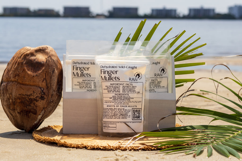 Dehydrated Finger Mullets for Cats & Dogs — 100% Single Ingredient | Raw Instincts | Qty: 5 Fish